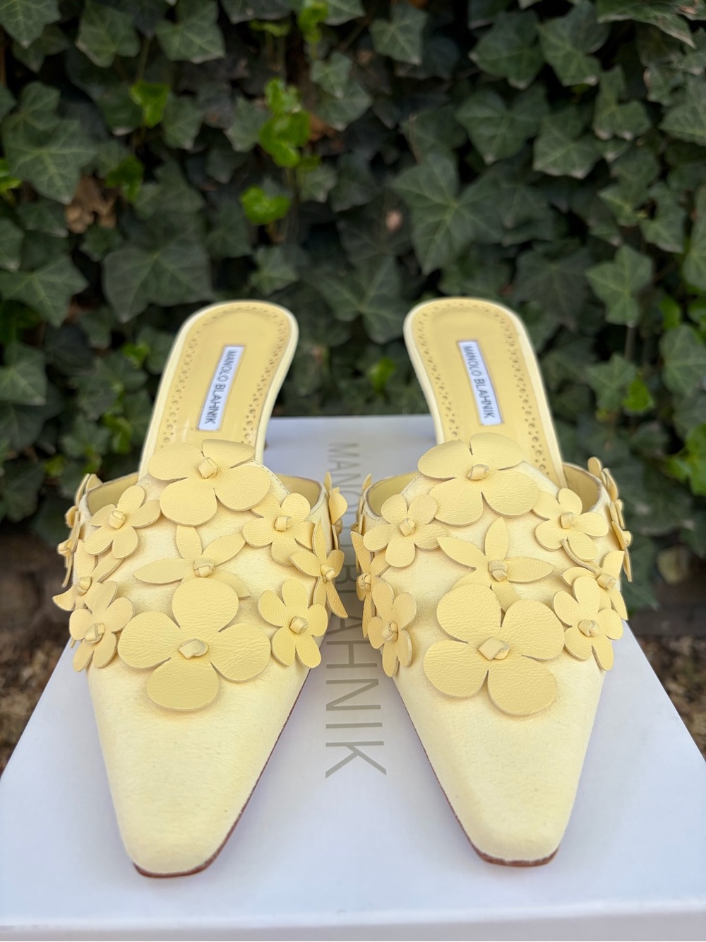 Manolo Blahnik’s Harnes 50 Appliquéd Suede Mules Pastel Yellow Size EU 40 - Picture 7 of 10